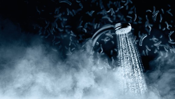 Shower sprays are potential sources of legionella Shower sprays are potential sources of legionella